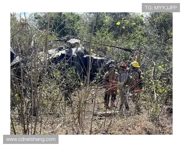 30000英尺的高空,黑鹰坠落的坠落揭开了怎样的真相 30000英尺的高空,黑鹰坠落的坠落揭开了怎样的真相