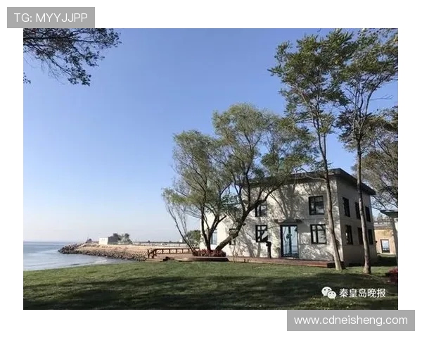 当爱遇上韩风：一场跨越山海的心动之旅