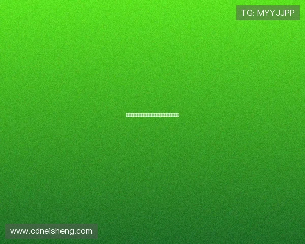 十二金牌：一段荡气回肠的历史回响与文化传承